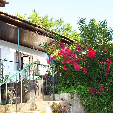 Villa Retiro Da Arminda Canedo  Exterior foto