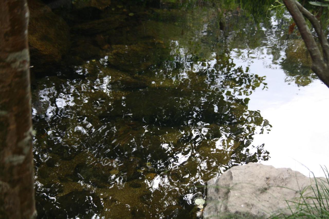 Retiro Da Arminda
