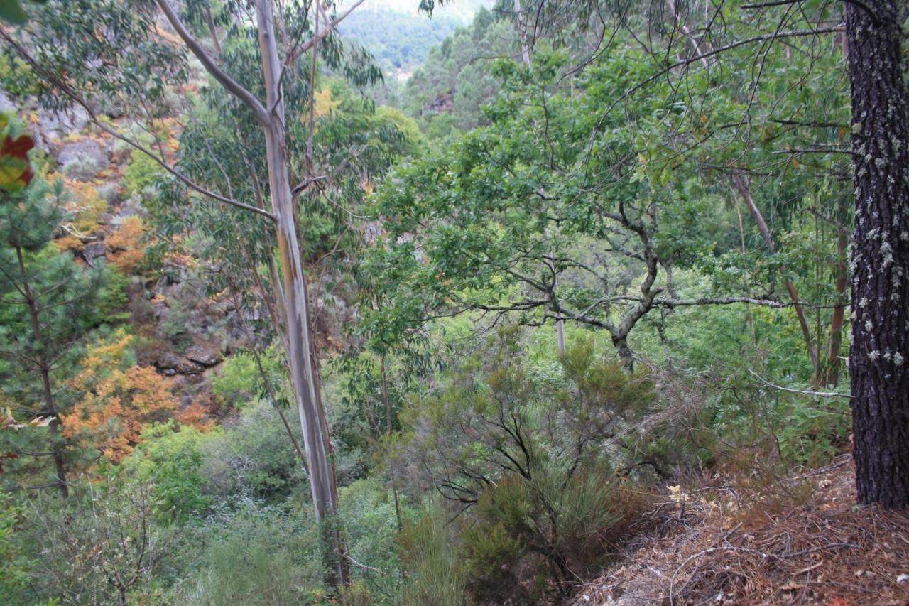 Retiro Da Arminda Alojamento de Turismo Rural *