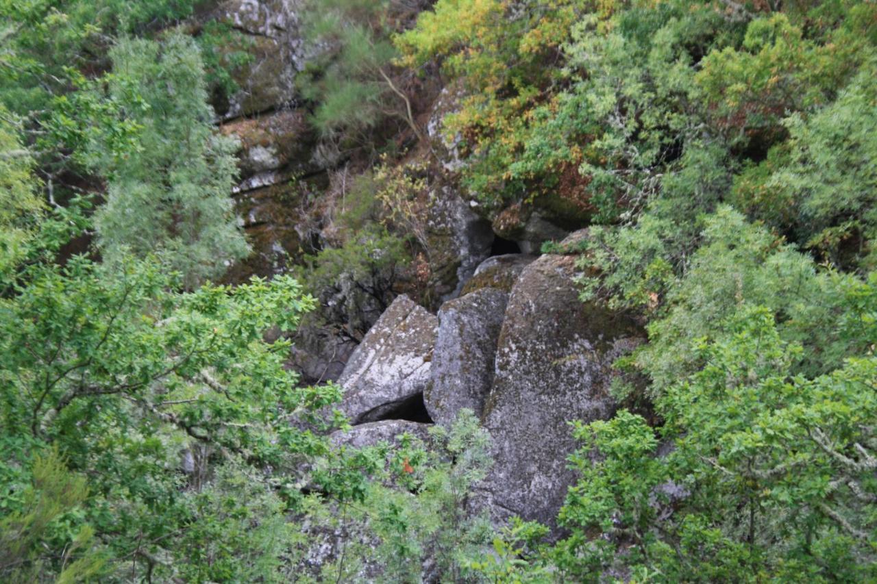Retiro Da Arminda * Canedo (Porto)