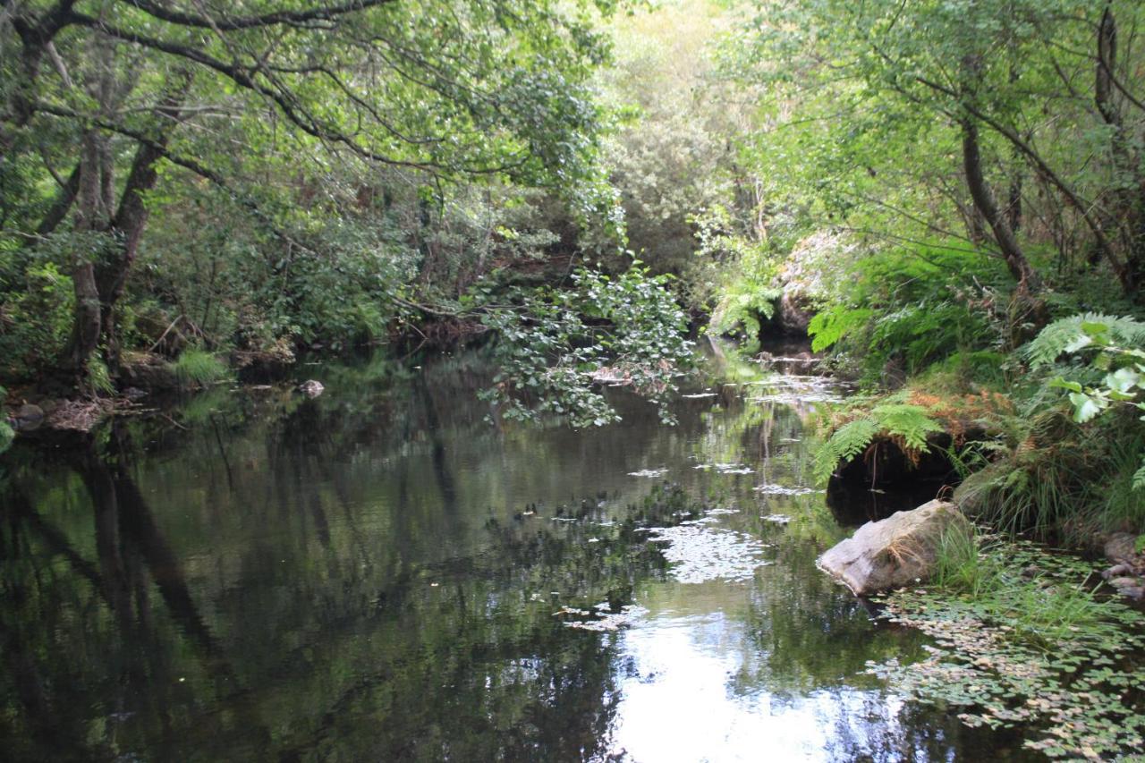 Retiro Da Arminda Alojamento de Turismo Rural *