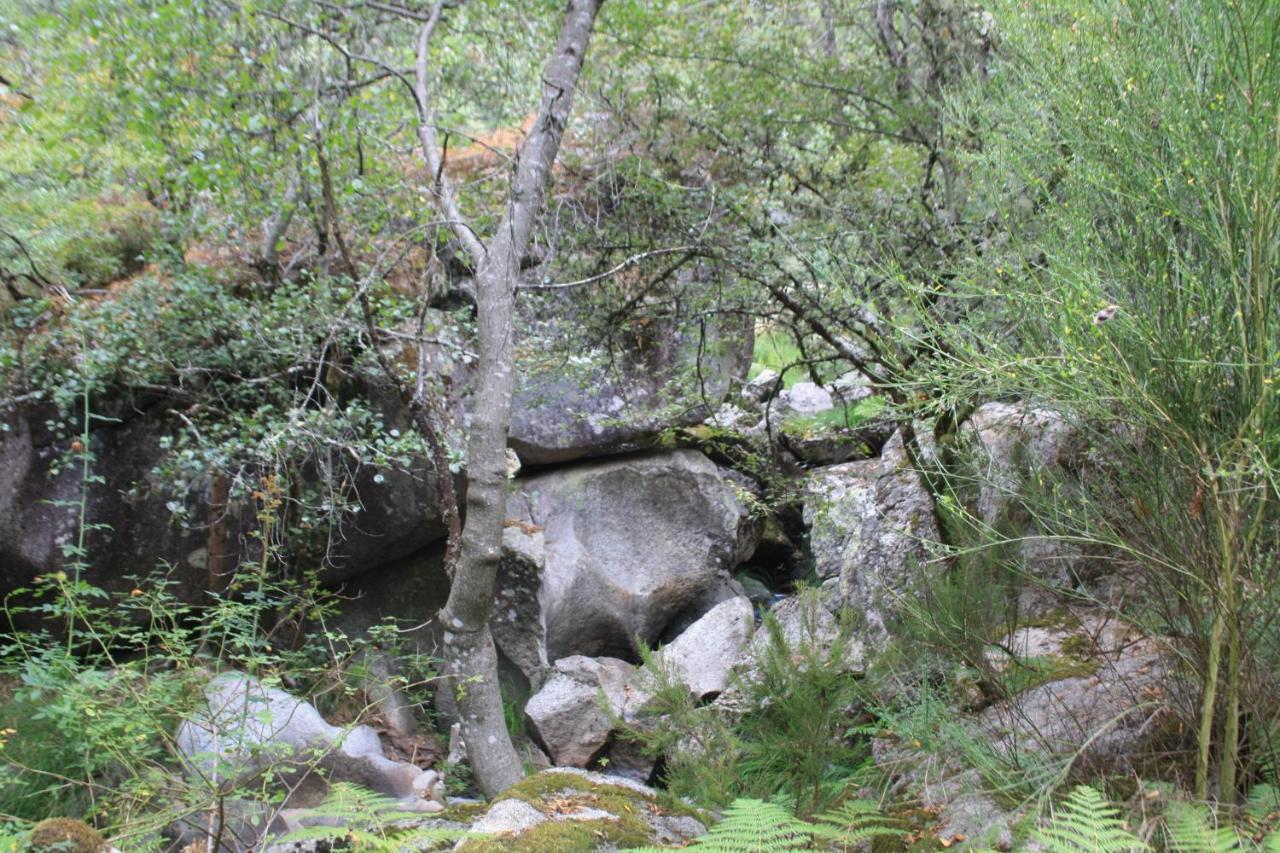 Bauernhof Retiro Da Arminda