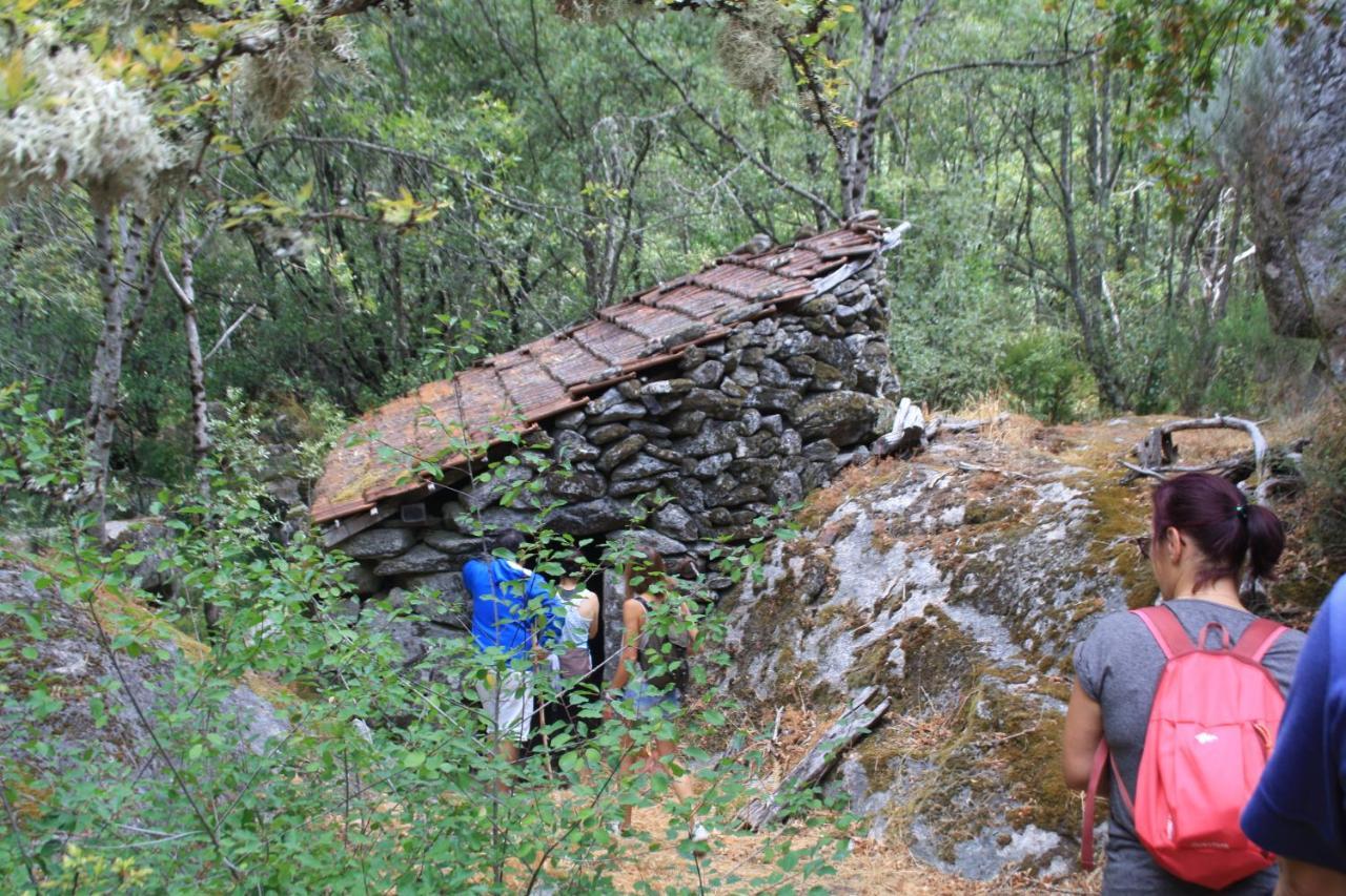 Retiro Da Arminda Gospodarstwo agroturystyczne