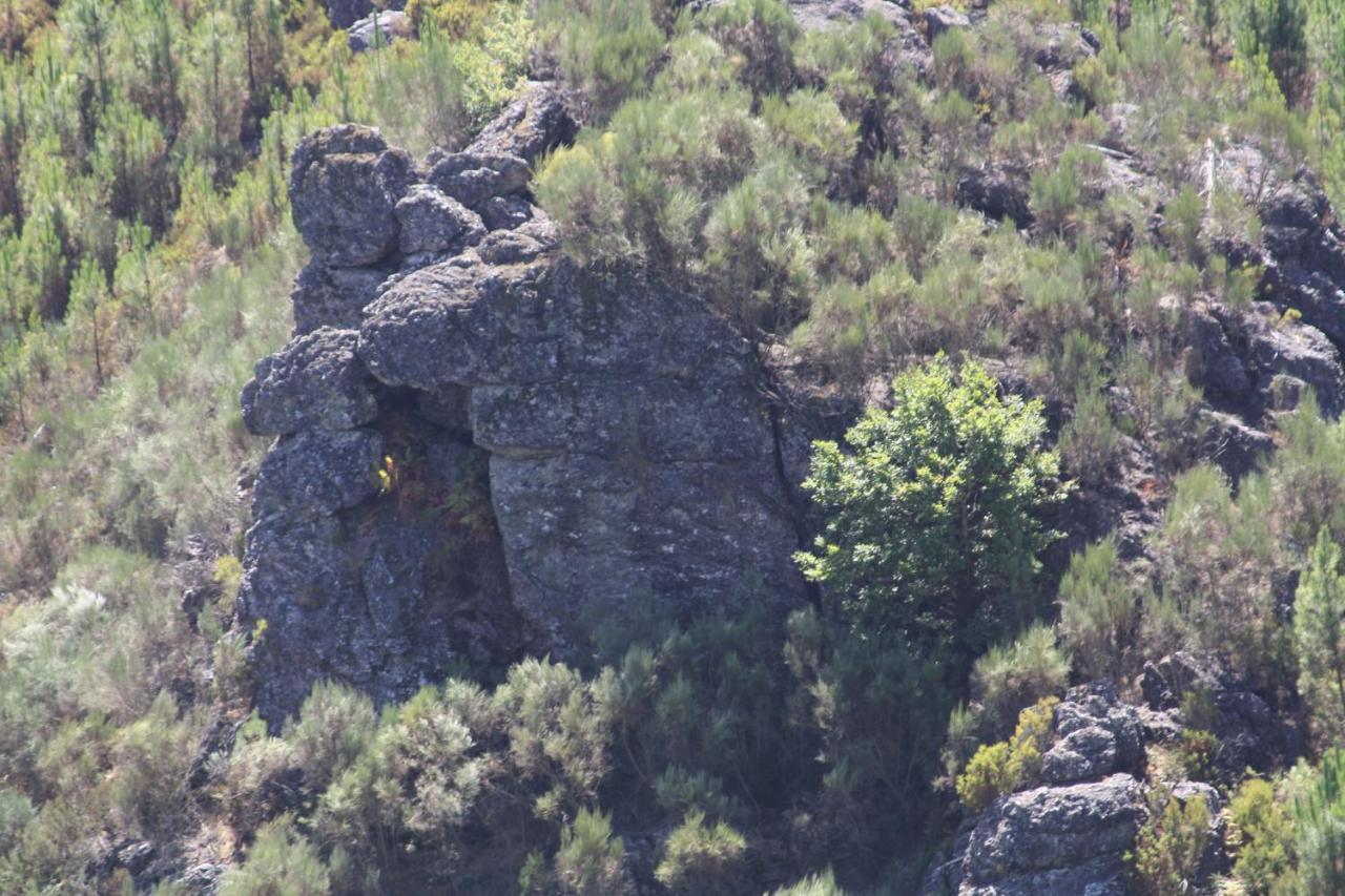Retiro Da Arminda *
