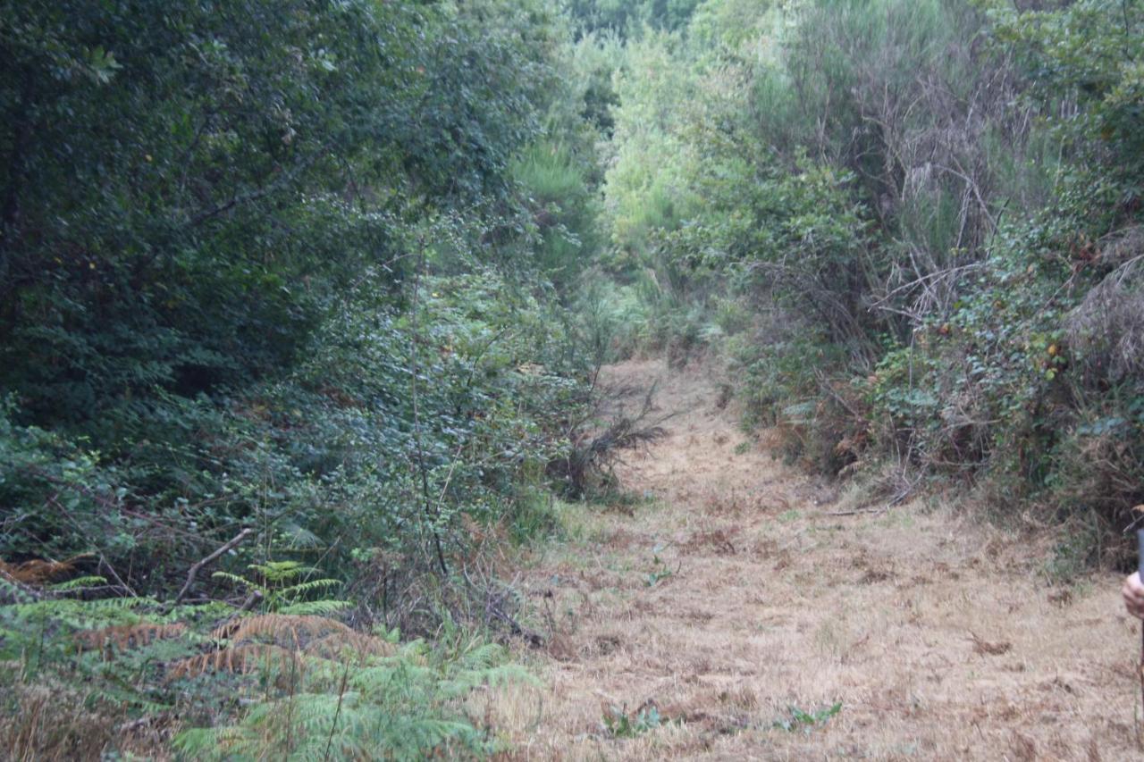 Alojamento de Turismo Rural Retiro Da Arminda *