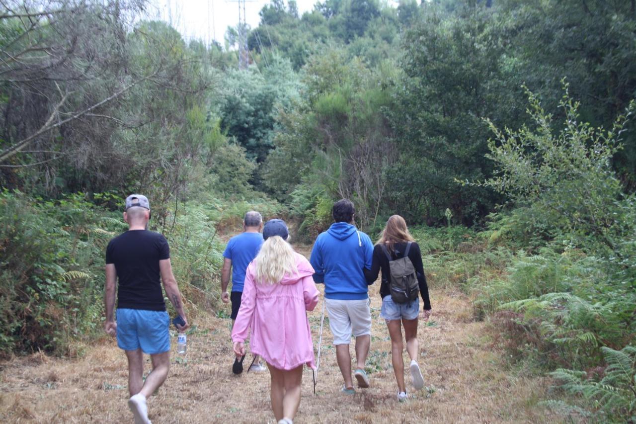 Alojamento de Turismo Rural Retiro Da Arminda Canedo (Porto)