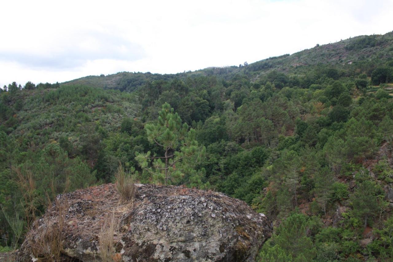 Bauernhof Retiro Da Arminda Canedo (Porto)