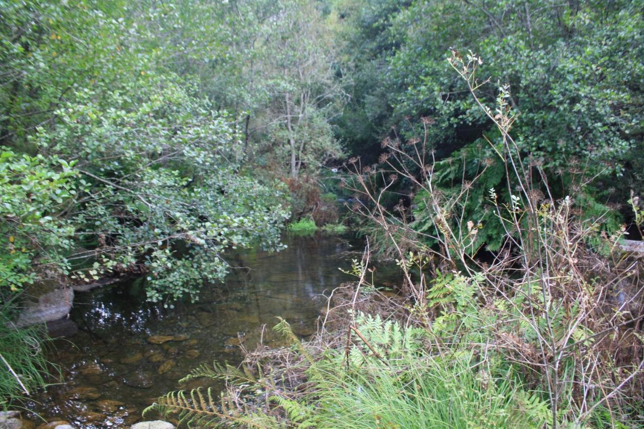 Alojamento de Turismo Rural Retiro Da Arminda *