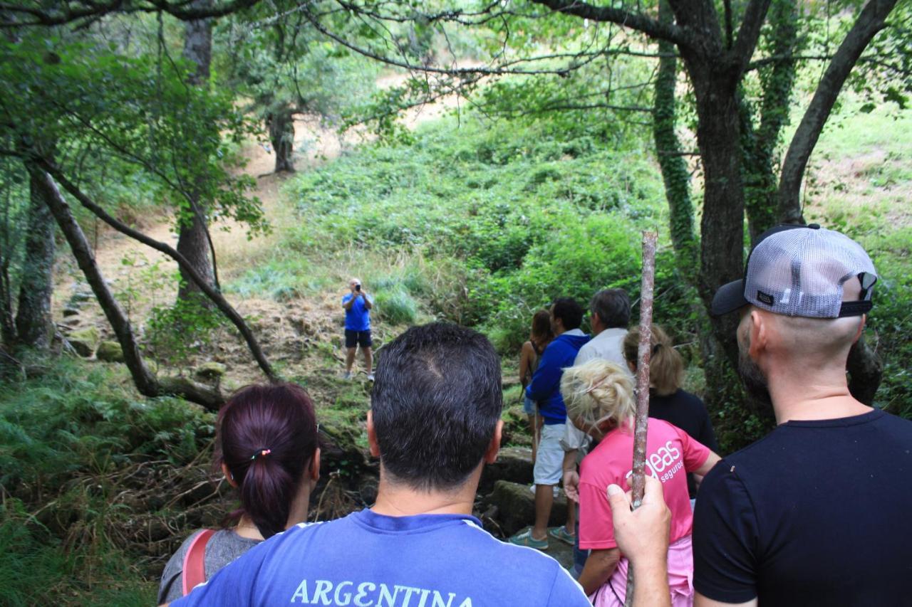 Retiro Da Arminda Gospodarstwo agroturystyczne Canedo (Porto)