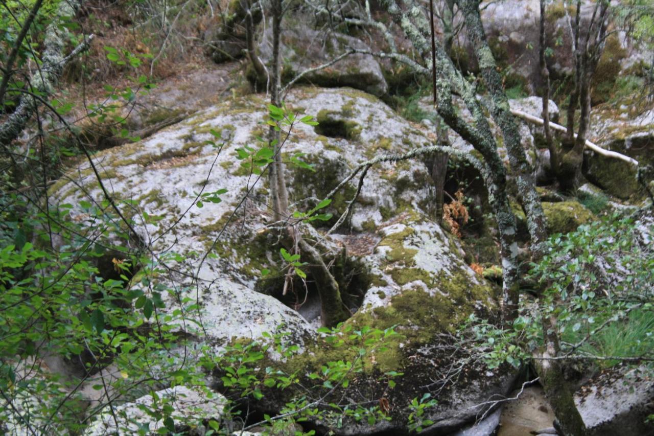 Retiro Da Arminda Bauernhof Canedo (Porto)