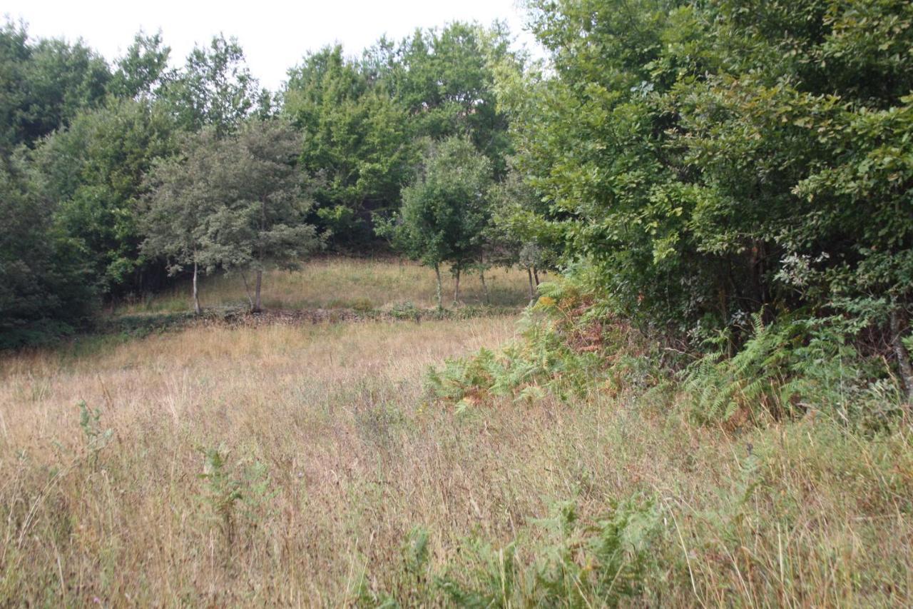 Retiro Da Arminda Bauernhof *