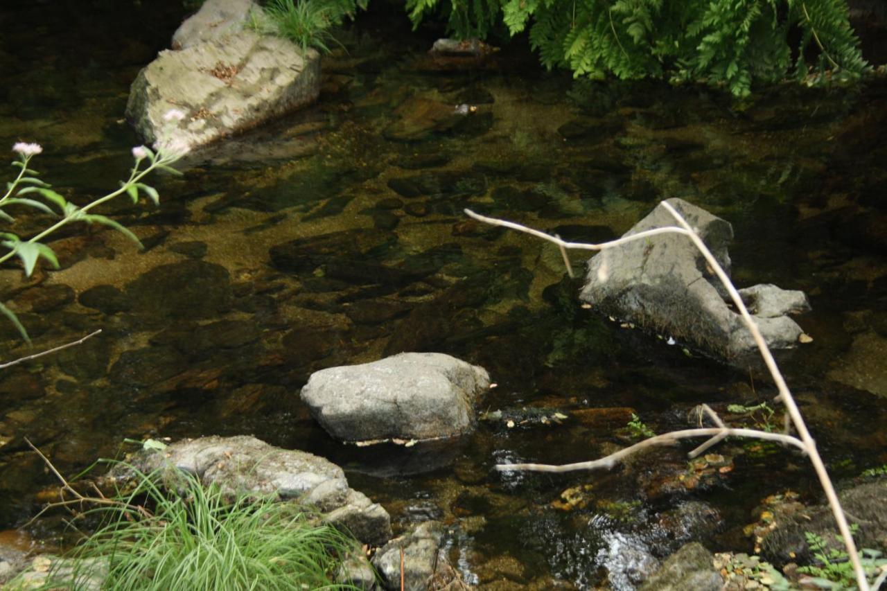 Retiro Da Arminda Bauernhof Canedo (Porto)