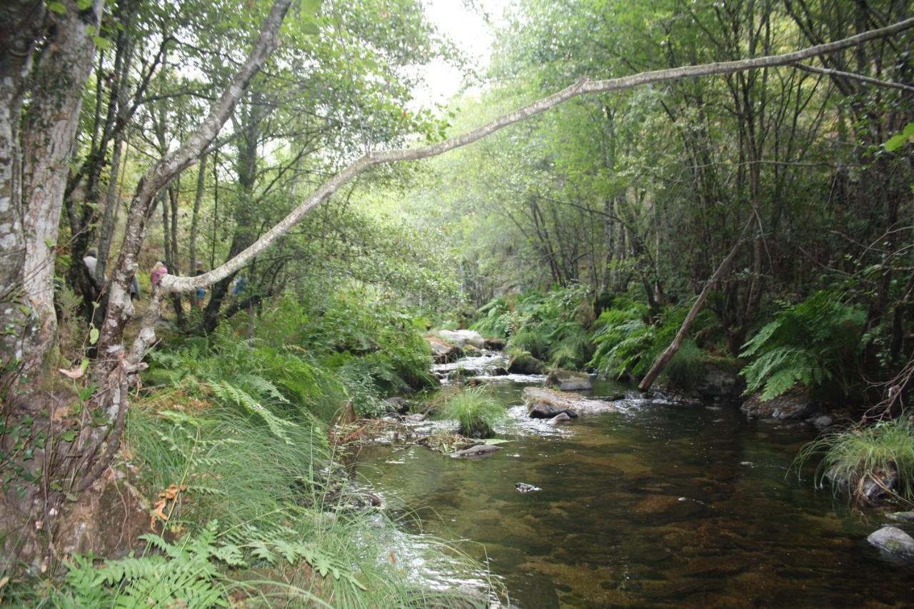 Bauernhof Retiro Da Arminda *
