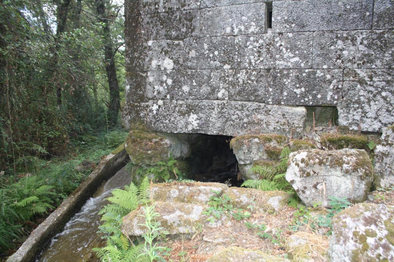 Retiro Da Arminda Bauernhof Canedo (Porto)