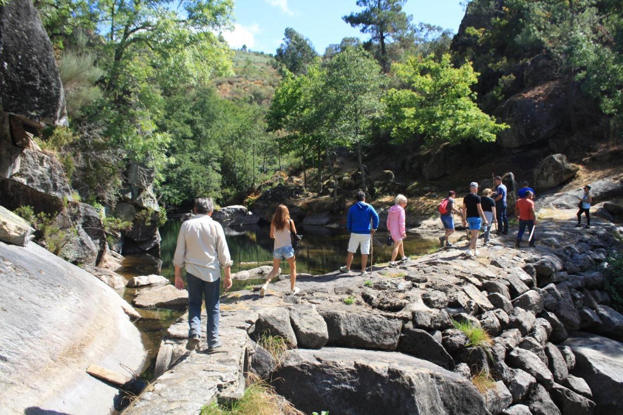 Alojamento de Turismo Rural Retiro Da Arminda Canedo (Porto)
