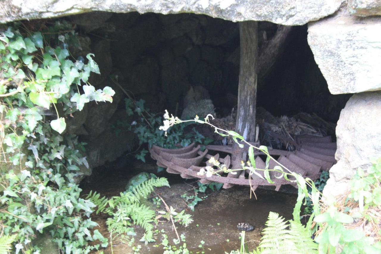 Retiro Da Arminda