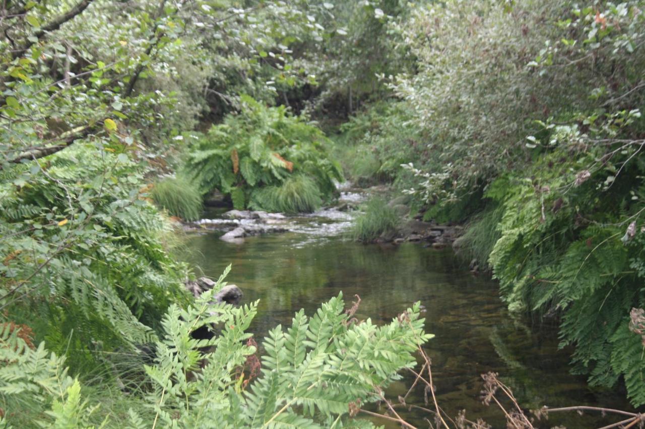 Retiro Da Arminda Canedo (Porto)