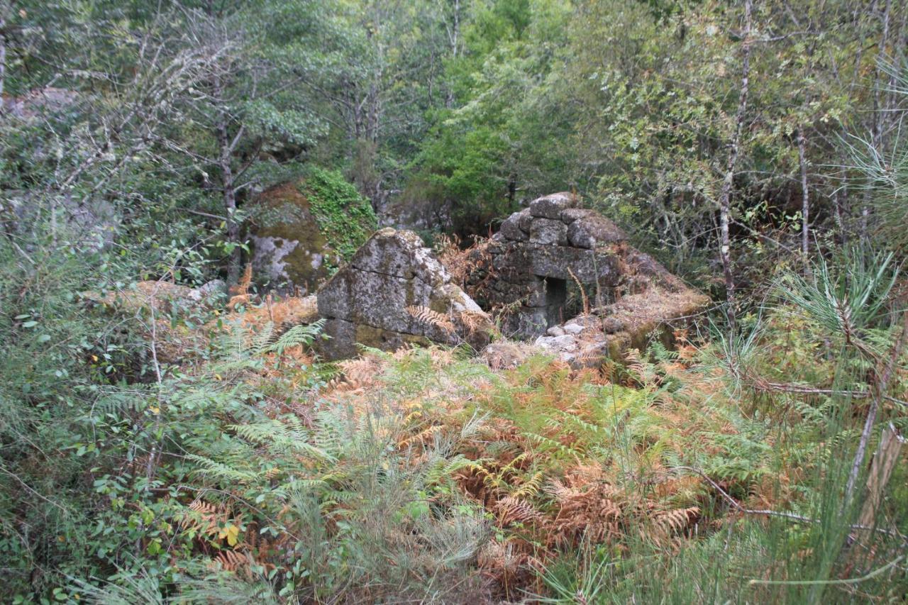 Retiro Da Arminda Alojamento de Turismo Rural
