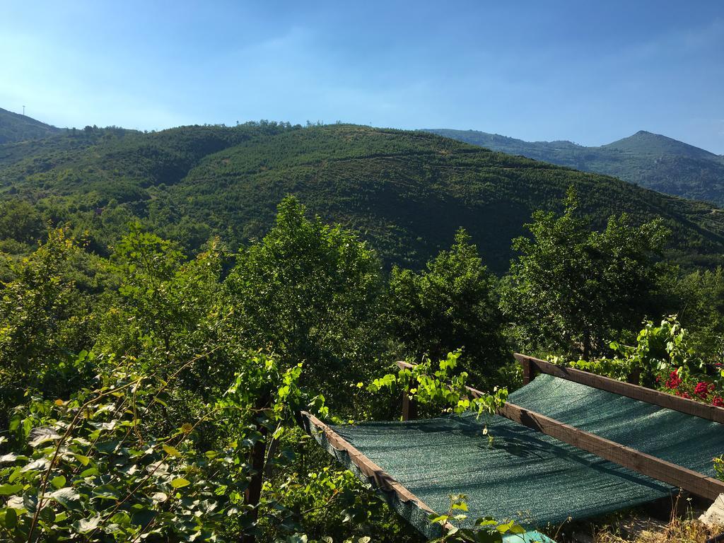 Retiro Da Arminda Gospodarstwo agroturystyczne Canedo (Porto)